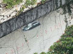 -嘉庚体育馆