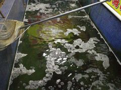 -溪悦渔庄(九龙湖店)