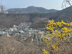 -富斯特索道