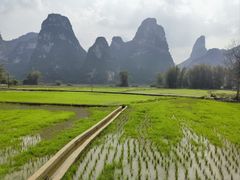 -明仕田园