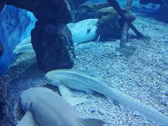 -多彩贵州城极地海洋世界