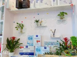 -时尚妈咪产后修复中心