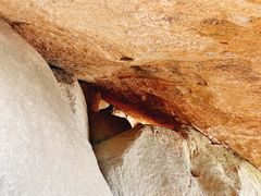 -崂山巨峰游览区