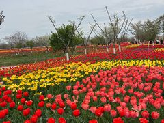 -泗洪洪泽湖湿地景区