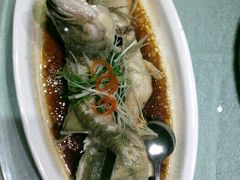 -兴圆苑