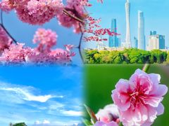 -金成潮菜博物馆(海珠湿地店)