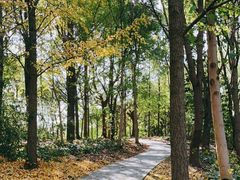 -昆山城市生态森林公园