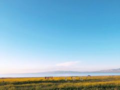 -青海湖国家重点风景名胜区