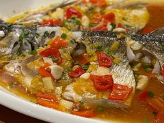 -丹江渔村(望京店)