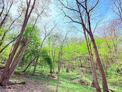 -松花湖风景名胜区