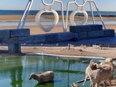 -巧克力渔家.小船海鲜胶东菜(万平口店)