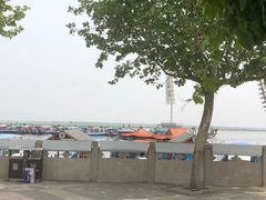 -白洋淀景区
