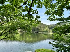 -庐山风景区花径公园