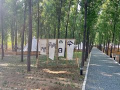 -森林小栈TreeStation露营基地