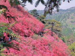 -木兰云雾山
