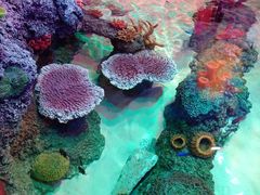 -沈阳海洋探索中心