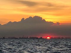 -宝安西湾红树林湿地公园