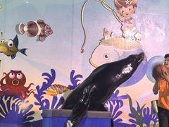 -太平洋海底世界