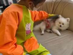 -怪兽屋·羊驼·猫咖·狗咖(俊华广场店)