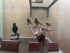 -陕西自然博物馆