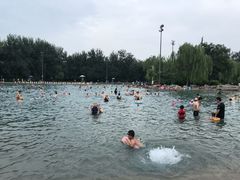 -柳浪游泳场