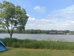 -长广溪湿地公园