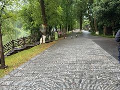 -常德桃花源景区