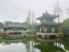 -水绘园