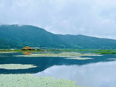 -腾冲北海湿地