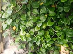 -德全心悦酒店(北京金台路地铁站店)