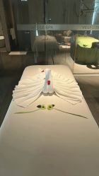 -VELEE·SPA高定疗愈会所