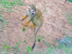 -石家庄市动物园