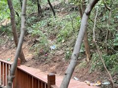 -龙潭大峡谷
