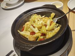 -鸽小宝(深圳首店)