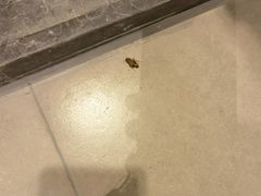 -麗枫酒店(广州区庄地铁站店)