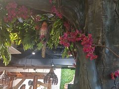 -草原塞蛮羊火锅城(港湾店)