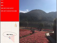 -广州市石门国家森林公园