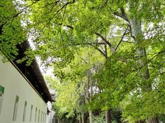 -西园戒幢律寺