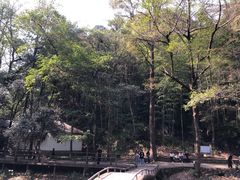 -五泄景区