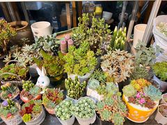 -双季花艺园艺市场(浦东店)