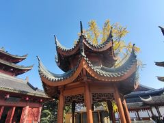 -上海东林寺(金山区)