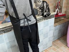 -宠颐生汉谟拉比宠物医院