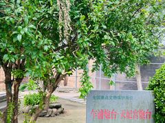 -汤山公园