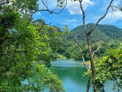 -佛山市三水区大南山森林公园