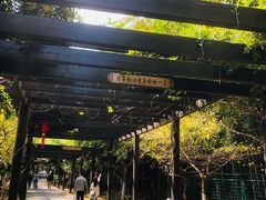 -九龙潭景区