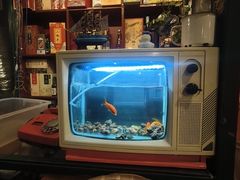 -永安里地摊烤肉(首创店)