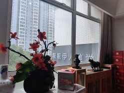 -靓靓伊人SKINCARE肌肤管理FACIAL·SPA