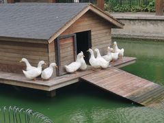 -中央戏剧学院(昌平校区)