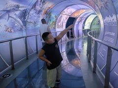-房山世界地质公园博物馆
