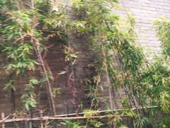 -口岸雕花楼